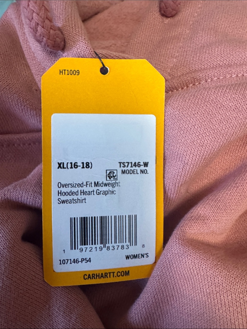 Carhartt Women's Hooded Sweatshirt in Dusty Rose
